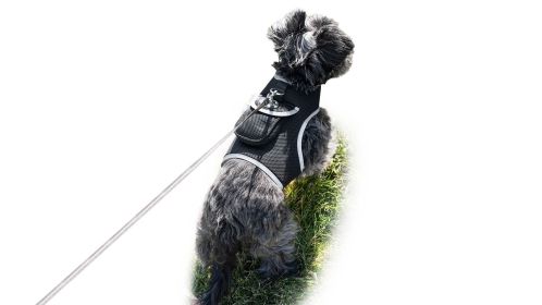 Get Detailed SMS with Small Waterproof GPRS GSM Pet Collar GPS Tracker Size:XS