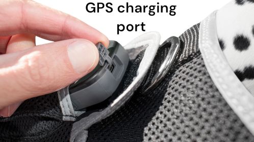 Get SMS Tracking Reports & Alarms w/ Mini Rechargeable GPS Pet Tracker Size:XL