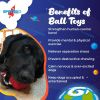 Asteroid Rubber Dog Chew Toy for Heavy Chewers | Red Retrieving Toy | USA Made